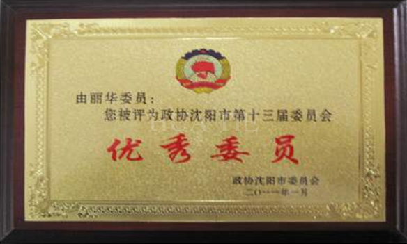  華鐵集團(tuán)董事長由麗華被評(píng)為市政協(xié)十三屆優(yōu)秀委員 